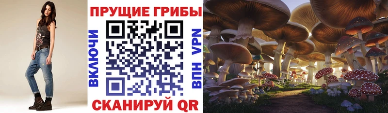 Галлюциногенные грибы мицелий Урус-Мартан